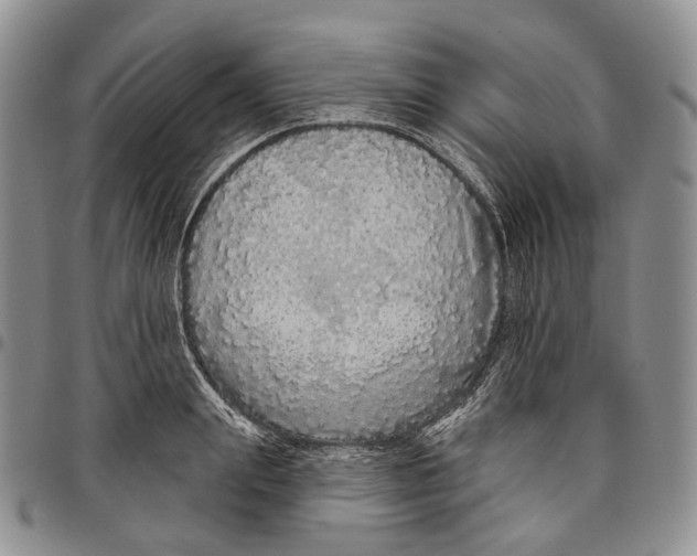 X0000097990847200804141140