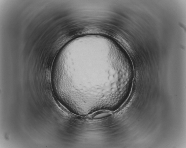 X0000097990849200804141140