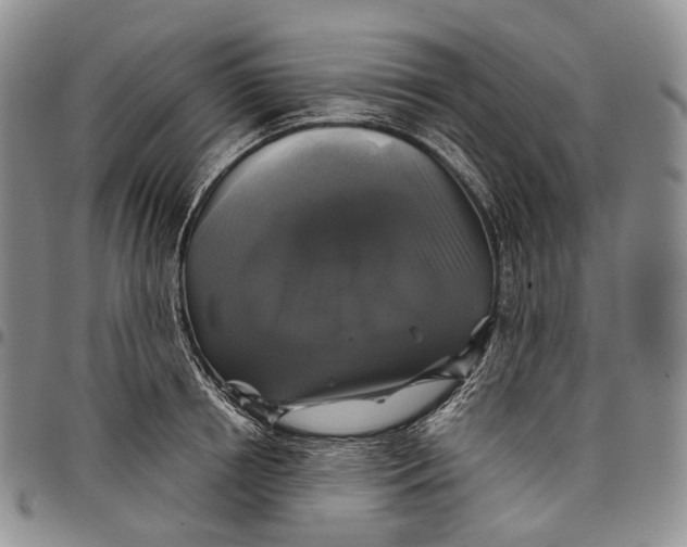 X0000097990850200804141140