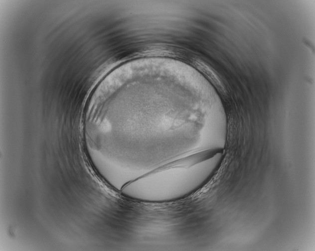 X0000097990852200804141140