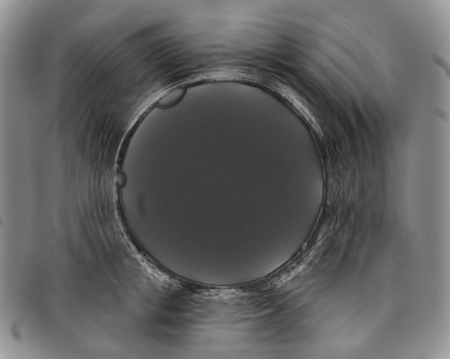 X0000097990853200804141140