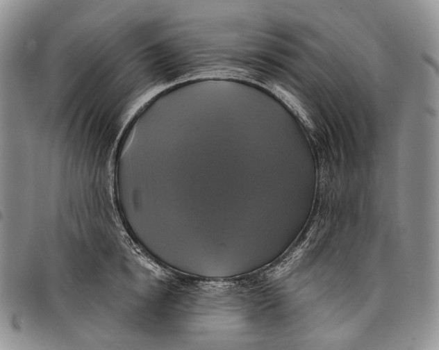 X0000097990854200804141140