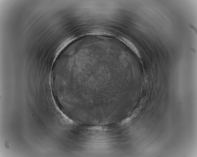 X0000097990855200804141140