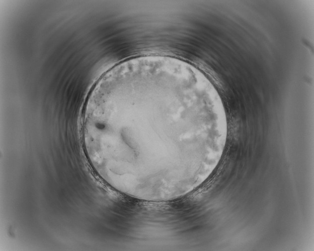 X0000097990856200804141140