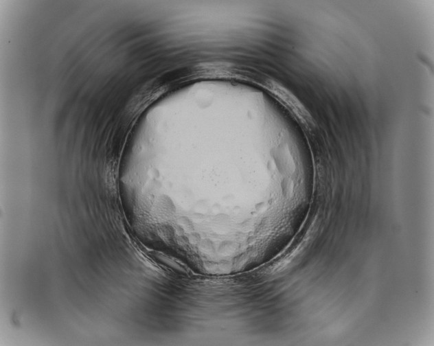 X0000097990857200804141140