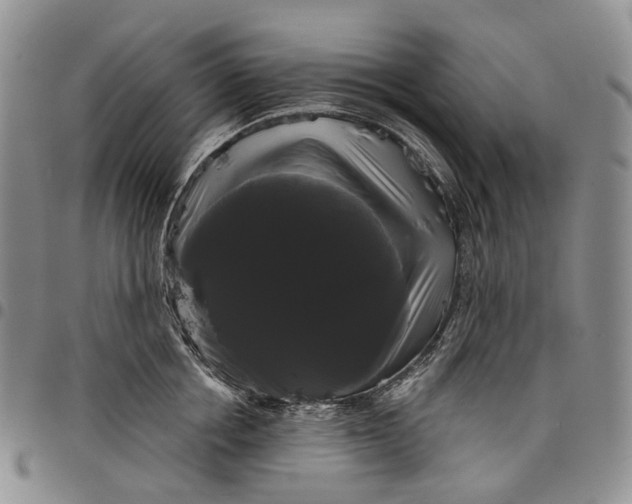 X0000097990858200804141140