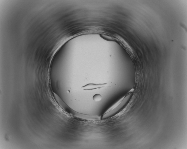 X0000097990860200804141140