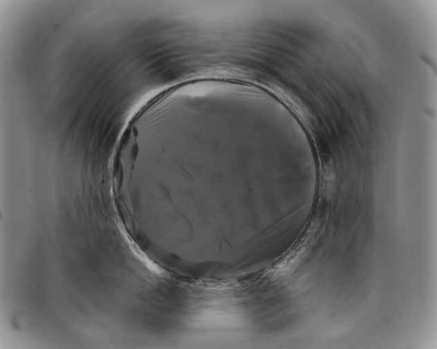 X0000097990862200804141140