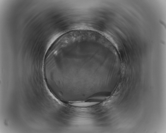 X0000097990863200804141140