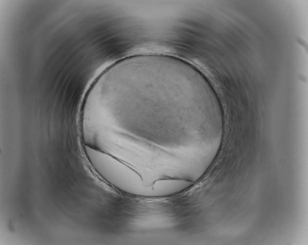 X0000097990864200804141140
