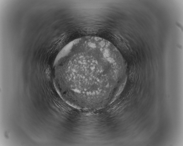 X0000097990866200804141139
