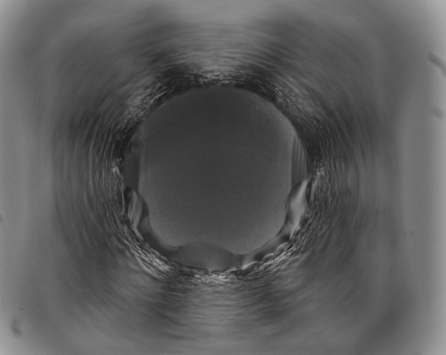 X0000097990868200804141139