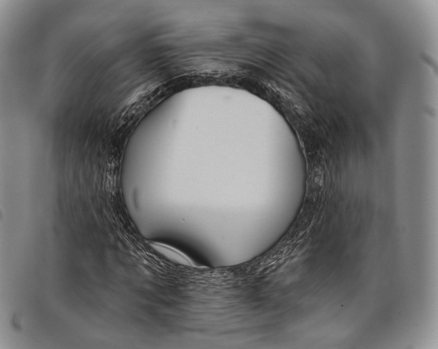 X0000097990869200804141139