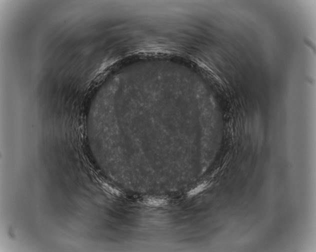 X0000097990870200804141139