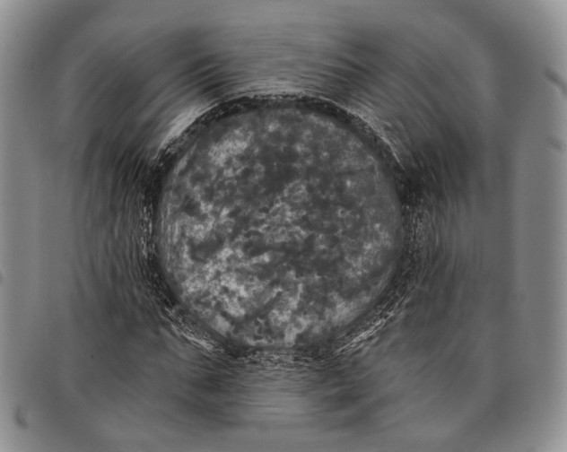 X0000097990871200804141139