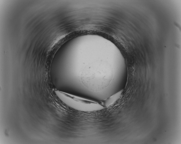X0000097990872200804141139