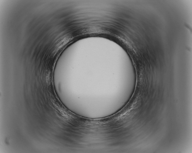 X0000097990873200804141139