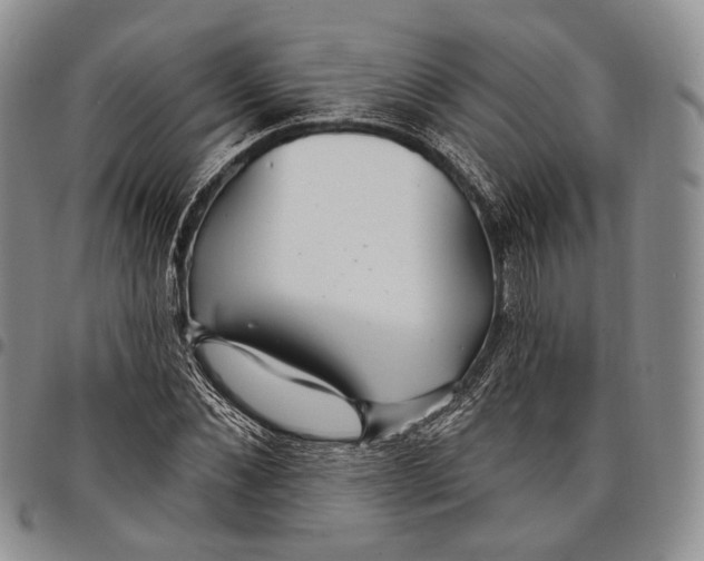 X0000097990876200804141139