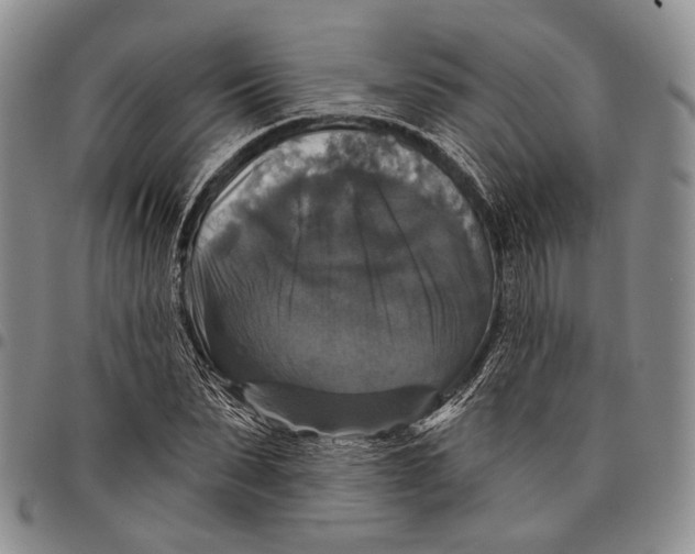 X0000097990879200804141139
