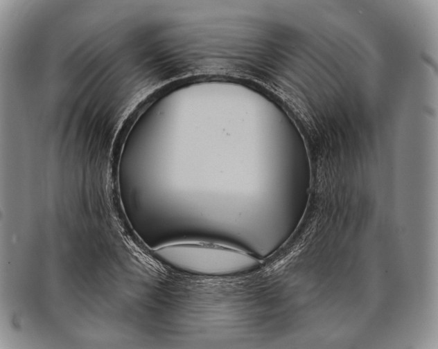 X0000097990880200804141139