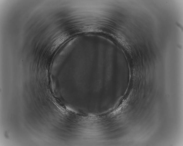 X0000097990881200804141139