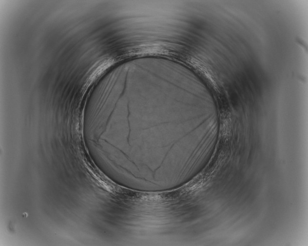 X0000097990882200804141139