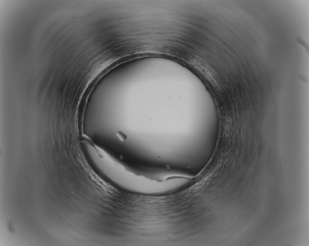 X0000097990884200804141139