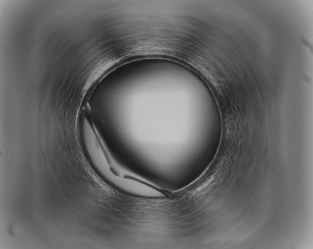 X0000097990885200804141139