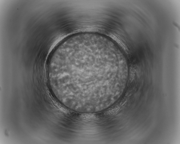 X0000097990886200804141139