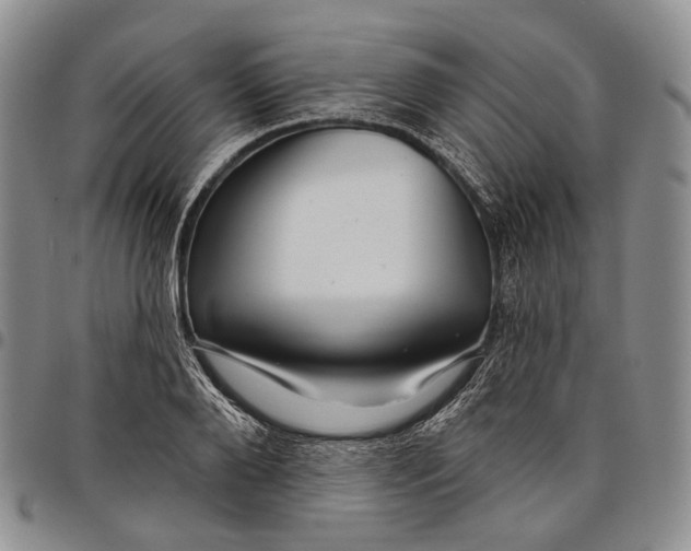 X0000097990888200804141139