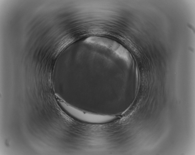 X0000097990889200804141139