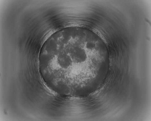 X0000097990890200804141139