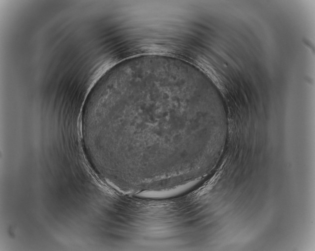 X0000097990891200804141139