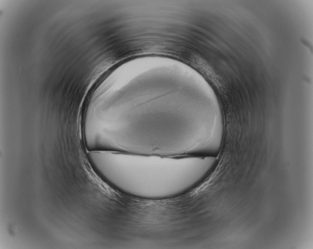 X0000097990892200804141139