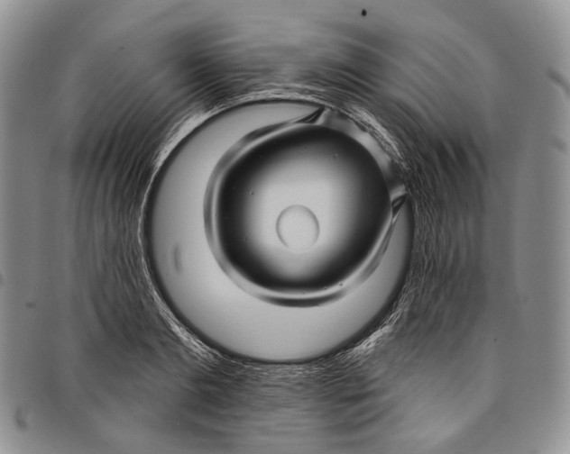 X0000097990893200804141139