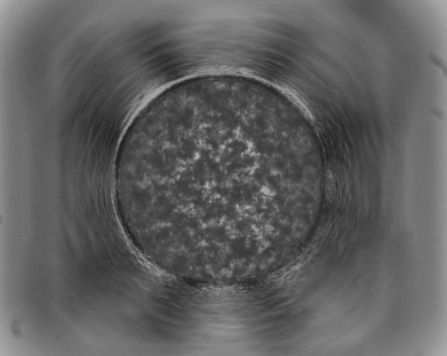 X0000097990895200804141139
