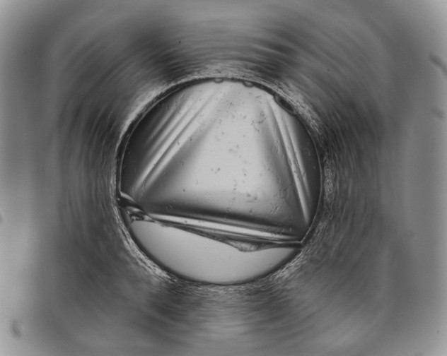 X0000097990896200804141139