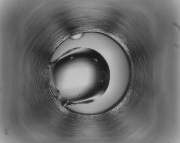 X0000097990897200804141139