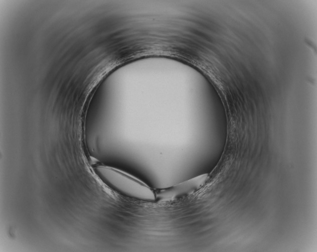 X0000097990898200804141139