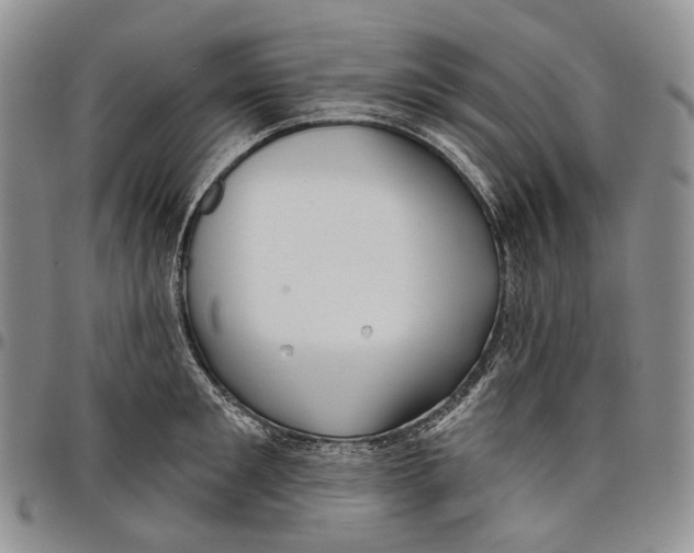 X0000097990901200804141138