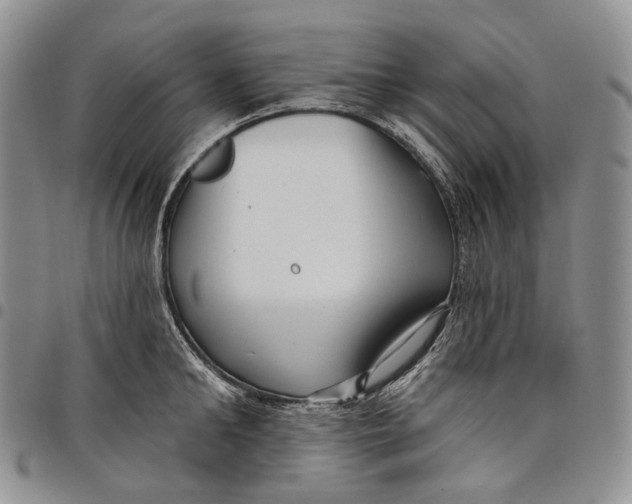 X0000097990902200804141138