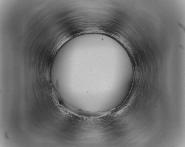 X0000097990905200804141138