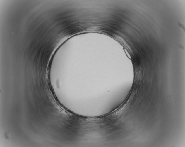 X0000097990908200804141138