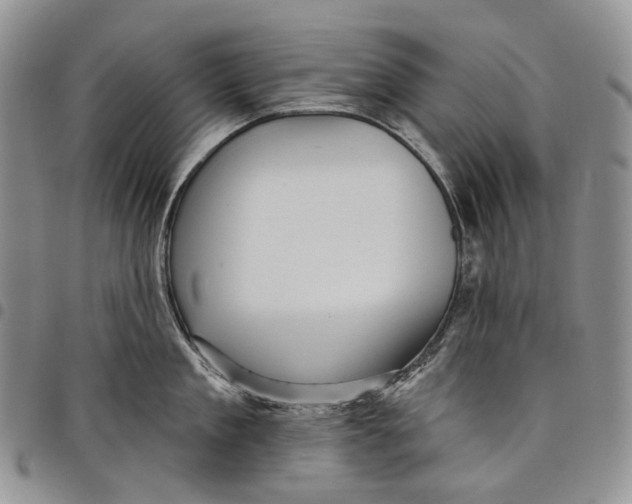 X0000097990909200804141138