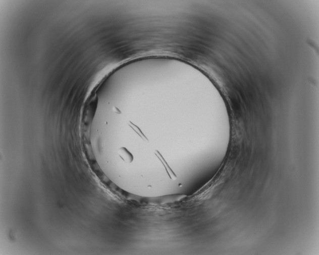 X0000097990910200804141138