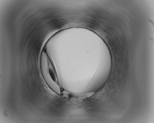 X0000097990912200804141138
