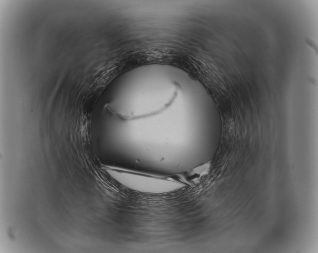 X0000097990914200804141138