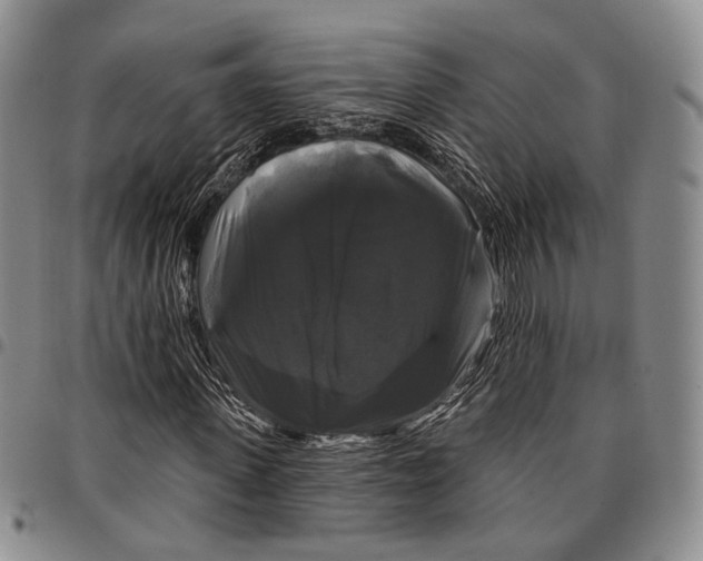 X0000097990915200804141138
