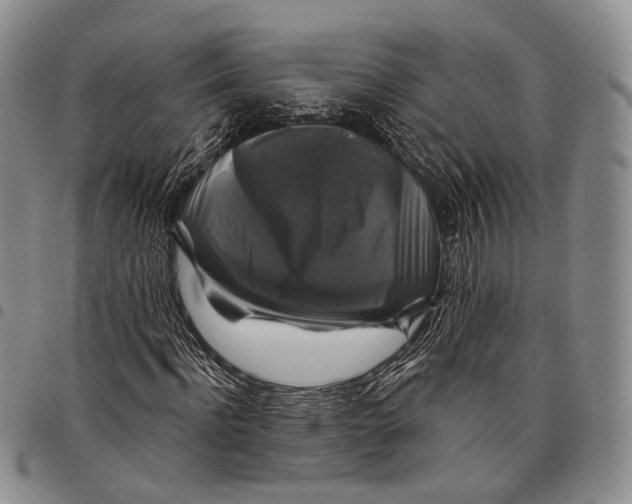 X0000097990916200804141138