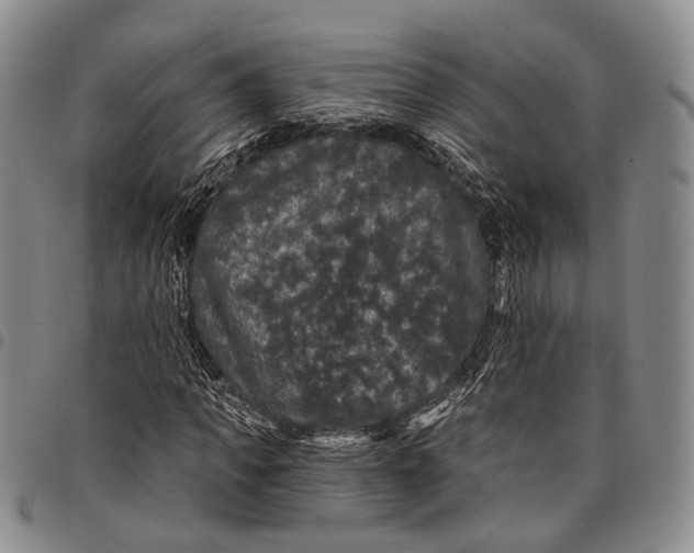 X0000097990917200804141138